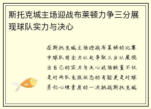 斯托克城主场迎战布莱顿力争三分展现球队实力与决心